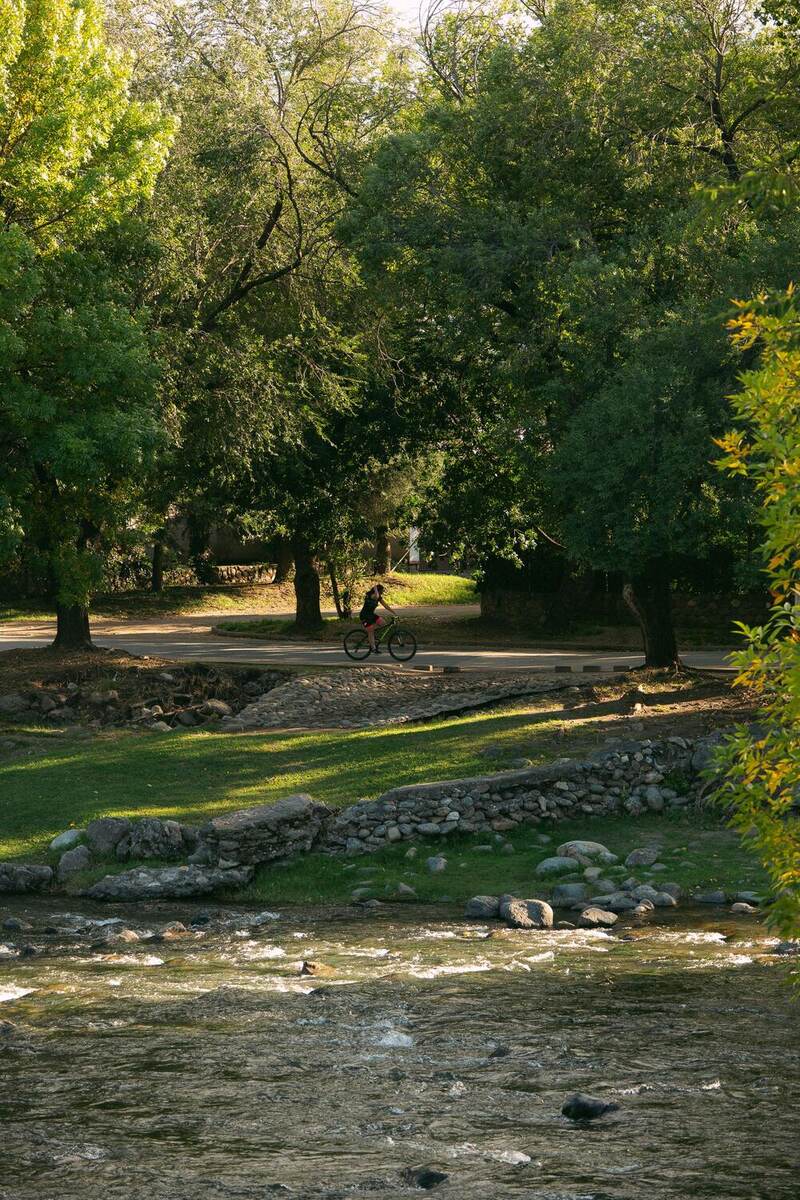 A cyclist on a tree-lined path beside a shallow, rocky river